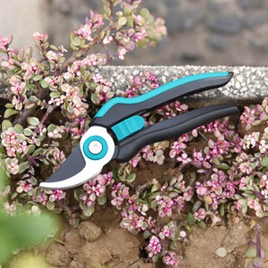 small garden clippers small garden clippers