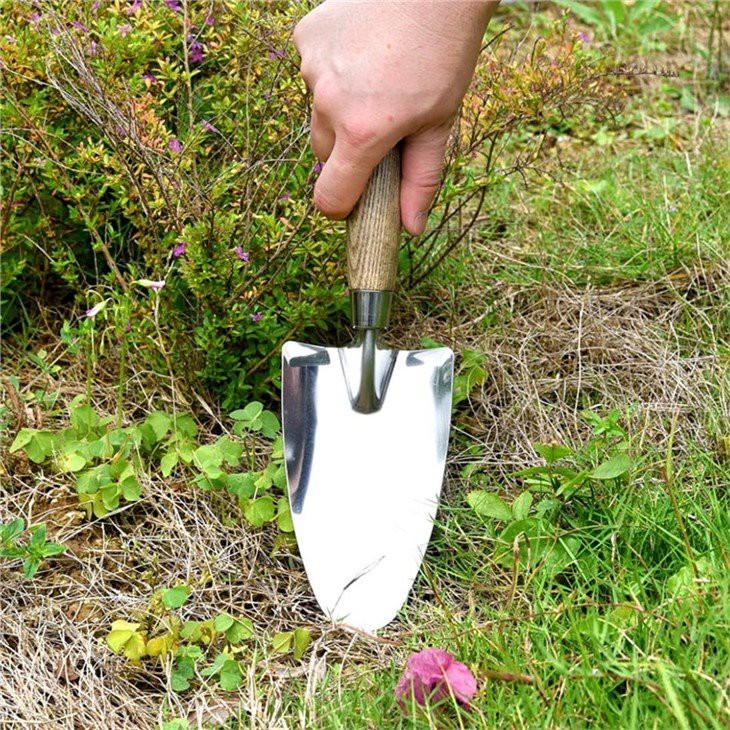 hand shovel gardening
