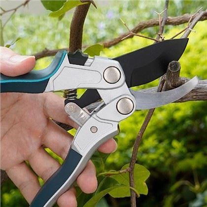 Chọn dụng cụ cắt tỉa hoàn hảo cho cây táo của bạn: Hướng dẫn dành cho người l...