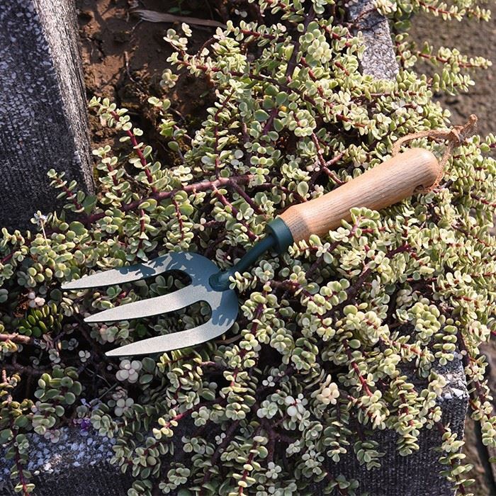 Hand Tools Hand Fork