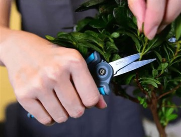 Tại sao chúng tôi tung ra loại kéo mới và lớn hơn