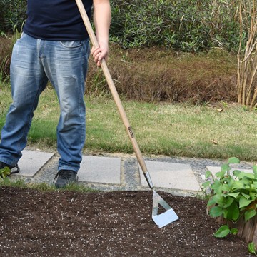 Lợi ích của việc bắt đầu một vườn rau