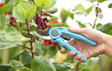 Ưu điểm của công cụ cắt điện và tay