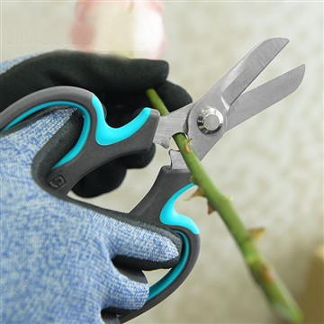 Vườn hoa khởi đầu