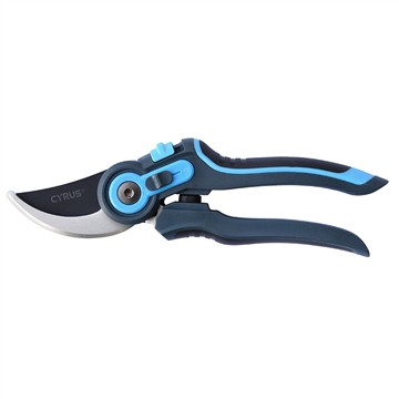 Lịch sử tiến hóa của Bypass Pruner