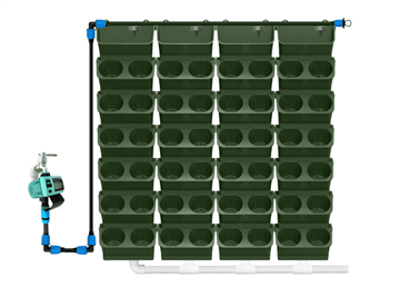 Chậu hoa hút nước
