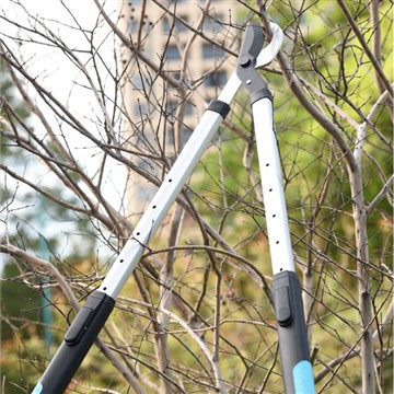 Tỉa và Cắt Tỉa: Chăm Sóc Vườn Gia Đình Tôi