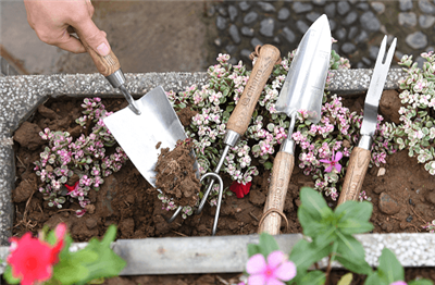 Cách làm sạch dụng cụ của bạn