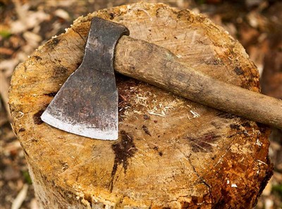 Dụng cụ cắt cây và thiết bị an toàn