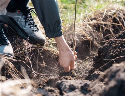 Các bước vui tươi để đào sâu rễ cây