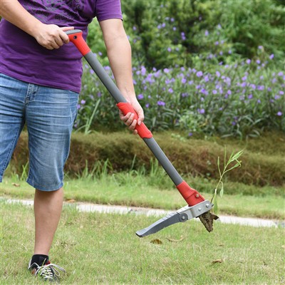 Đứng lên cỏ dại cho cỏ dại dễ dàng