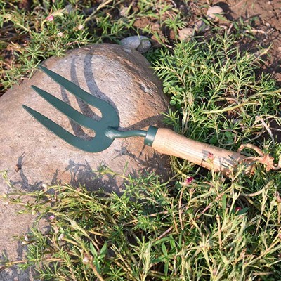 Cuộc phiêu lưu hàng ngày của Dụng cụ làm vườn