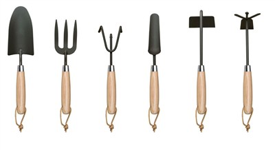 Trồng cà chua ở nhà