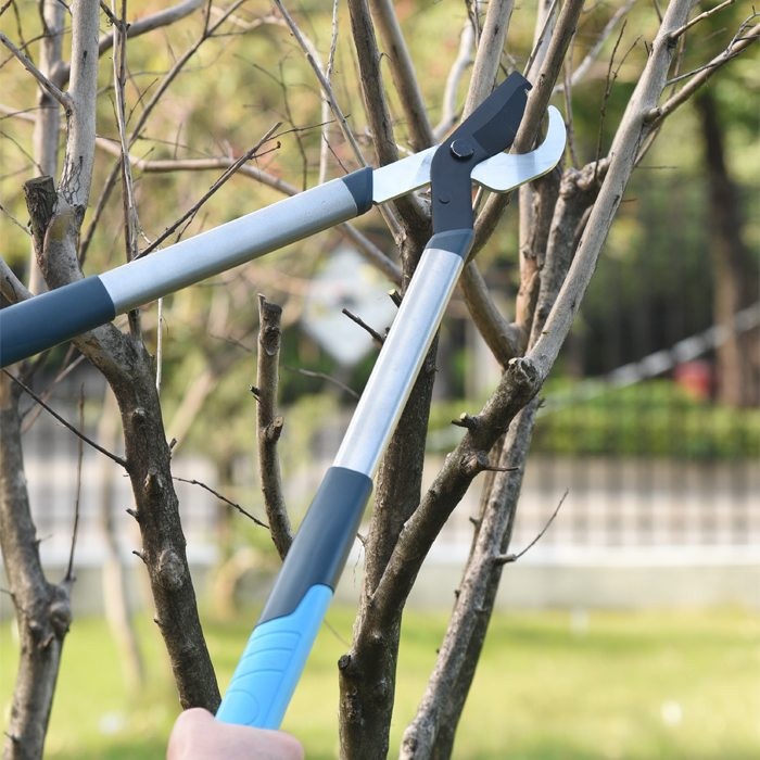 Pruning Shears And Loppers