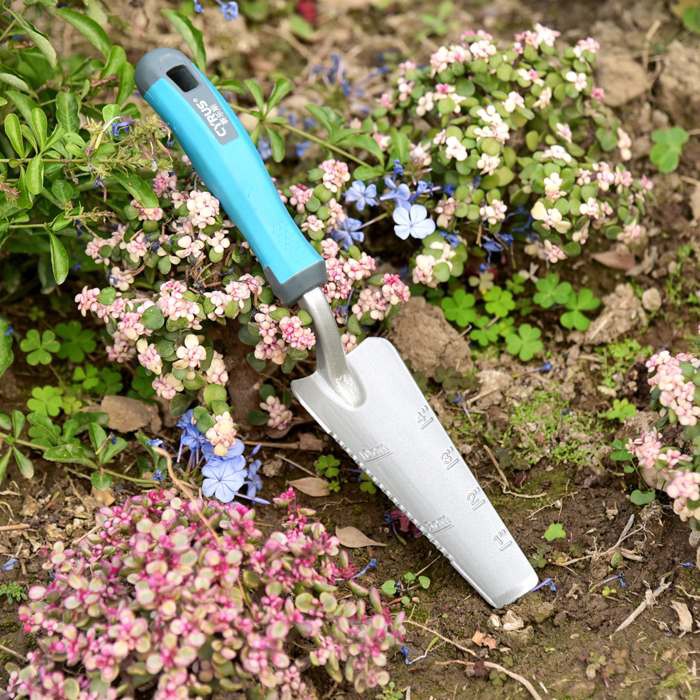 Transplanter Hand Tool