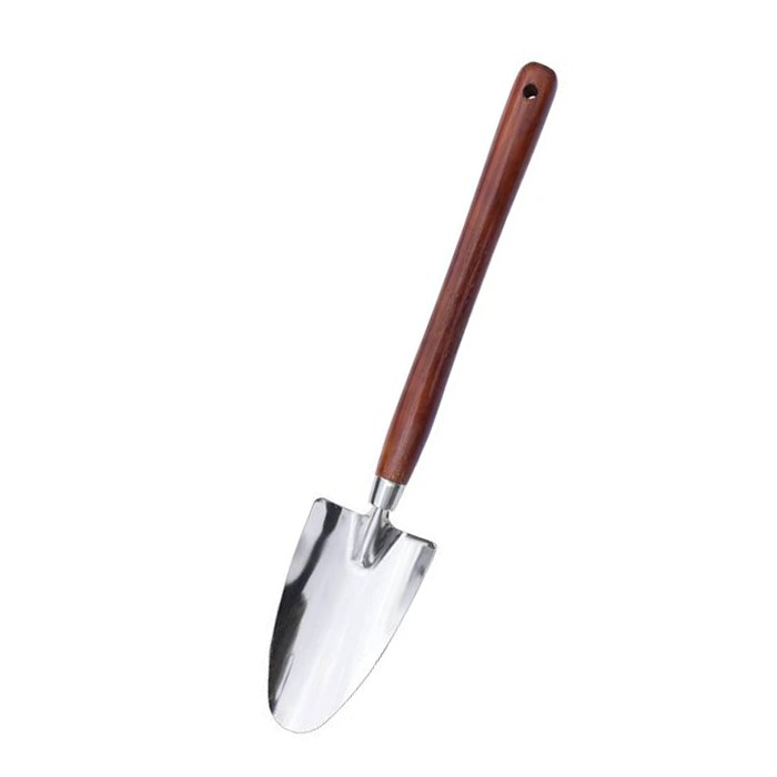 Vườn trồng bay bay