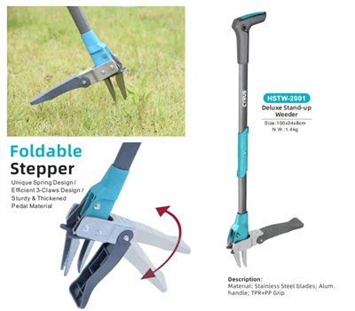 Kỷ niệm Tết Trung thu trên toàn thế giới: Sự hòa hợp giữa truyền thống và dụn...